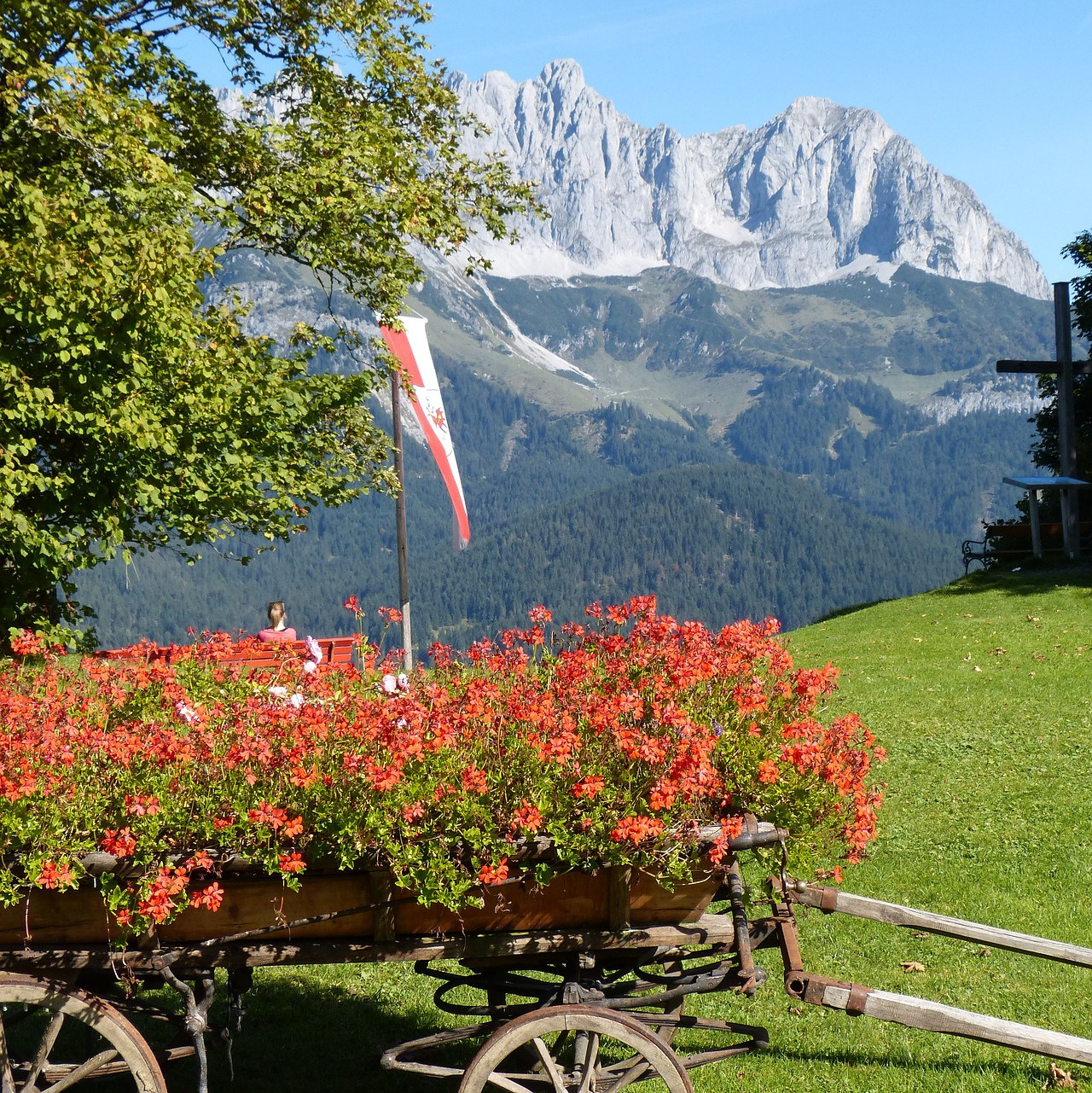 Kurze Wege und die Natur schonen.